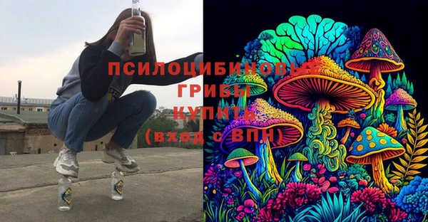 ПСИЛОЦИБИНОВЫЕ ГРИБЫ Магас