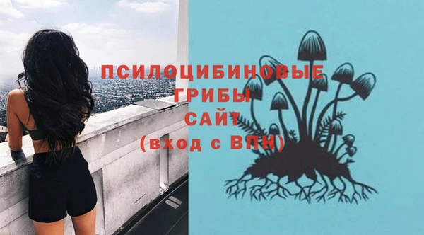 ПСИЛОЦИБИНОВЫЕ ГРИБЫ Магас