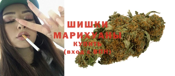ПСИЛОЦИБИНОВЫЕ ГРИБЫ Магас
