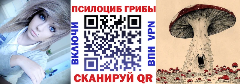 купить закладку  Одинцово  Псилоцибиновые грибы Magic Shrooms 