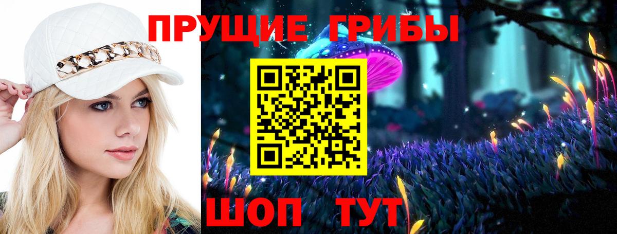 Псилоцибиновые грибы Psilocybine cubensis  Галлюциногенные грибы MAGIC MUSHROOMS  закладки  Вход с VPN  Одинцово 
