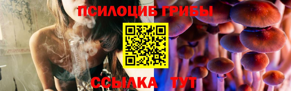 Псилоцибиновые грибы Psilocybe Одинцово